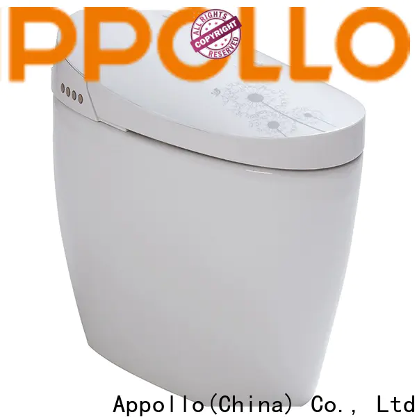 wholesale heated toilet with bidet comfortable company for women
