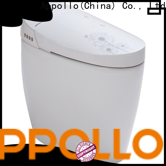 top cheap bidet toilet zn079 for business for home use Appollo