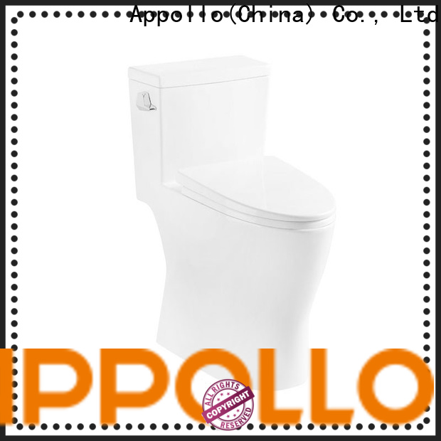 Appollo function dual flush toilet for business for hotels