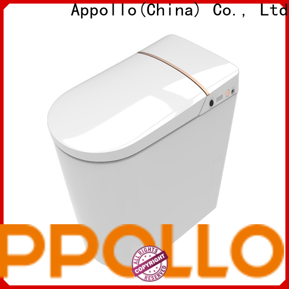 digital toilet zn079 for family