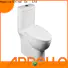 Appollo jet china smart toilet supply for bathroom