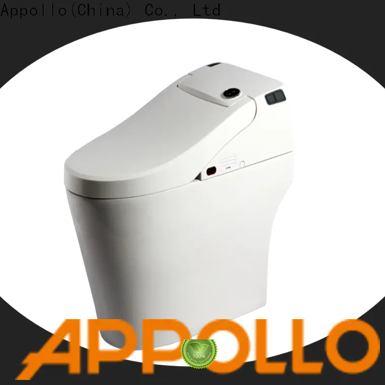 Appollo bath comfort multifunctional toilet manufacturers for bathroom
