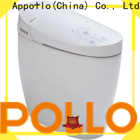 Appollo bath comfort multifunctional toilet supply for family
