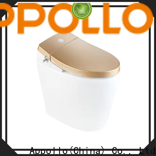 Appollo bath zn073 toilet electric bidet suppliers for family