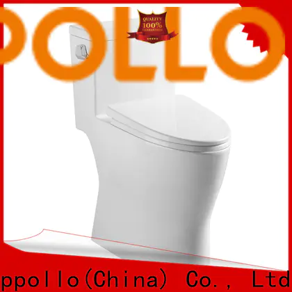 Custom high quality water efficient toilets zb3902 for business for resorts