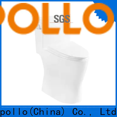 Wholesale high quality tankless toilet efficient for women