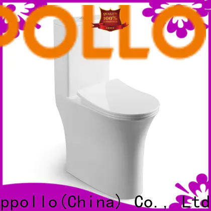 Custom best high toilet flush for resorts