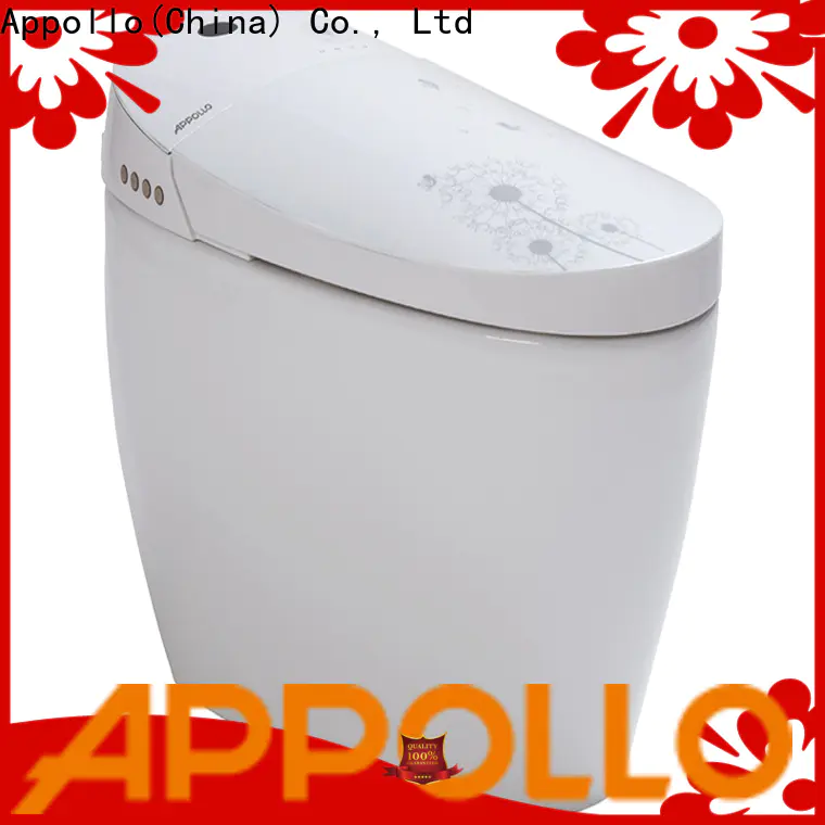 Bulk purchase custom multifunctional toilet elegant supply for home use