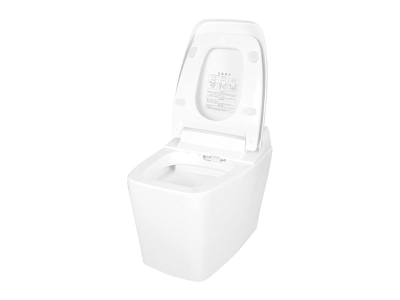 Intelligent Toilet Automatic Electric Wash Toilet Zn-072-2