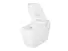 Intelligent Toilet Automatic Electric Wash Toilet Zn-072
