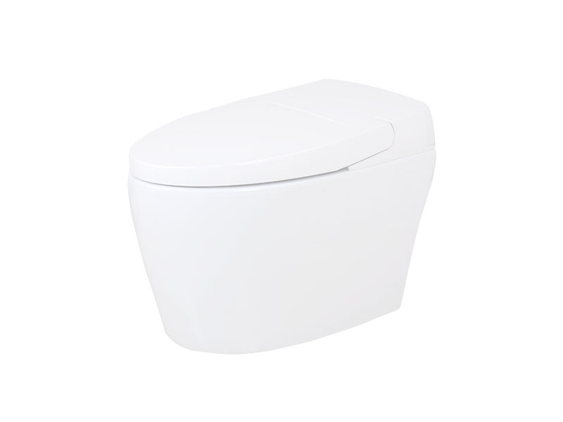 Appollo wholesale toilet electric bidet manufacturers for resorts