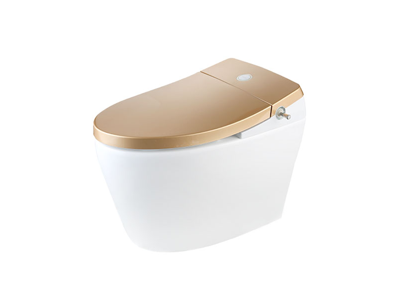 Appollo bath Custom heated toilet with bidet manufacturers for resorts-2