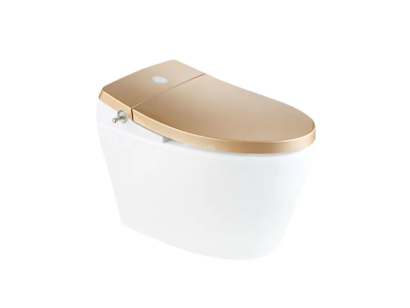 New Smart Toilet With Golden Cover Zn-074