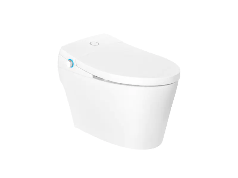 Exquisite Smart Toilet Seat With Comfort Height Zn-075