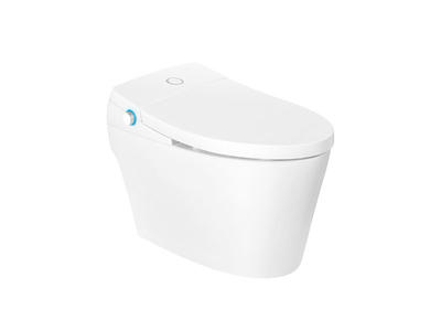 Exquisite Smart Toilet Seat With Comfort Height Zn-075