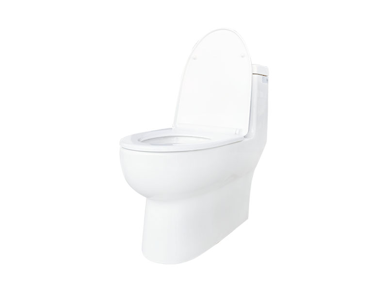 Appollo bath dbm11a high toilet company for men-2