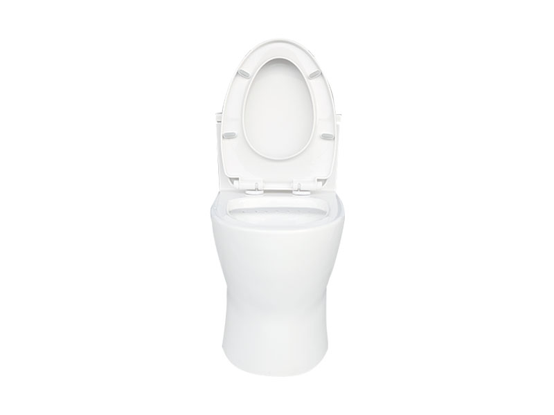 Bulk buy ceramic toilet seat flush for business for bathroom-2