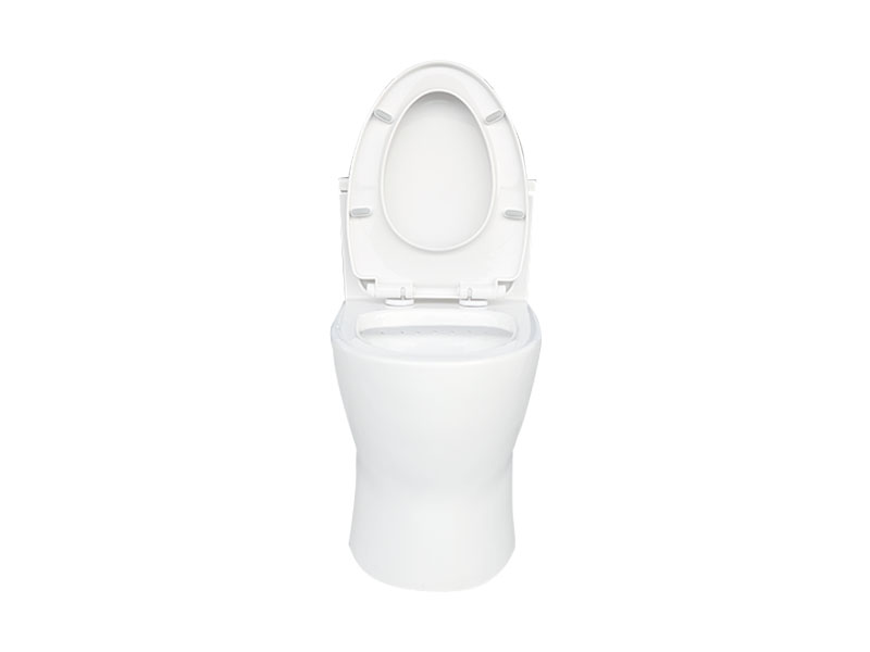 Appollo function dual flush toilet for business for hotels