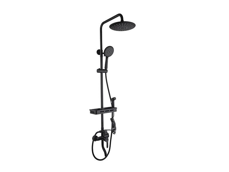 Bathroom Rain Shower Head With Handheld As-8020h