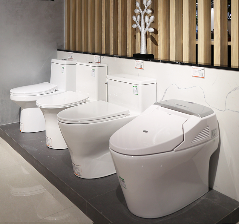 Appollo General Bathroom toilet Technology Display