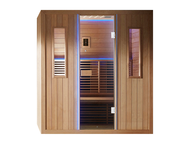 Appollo Appollo Bath small sauna suppliers for hotels-1