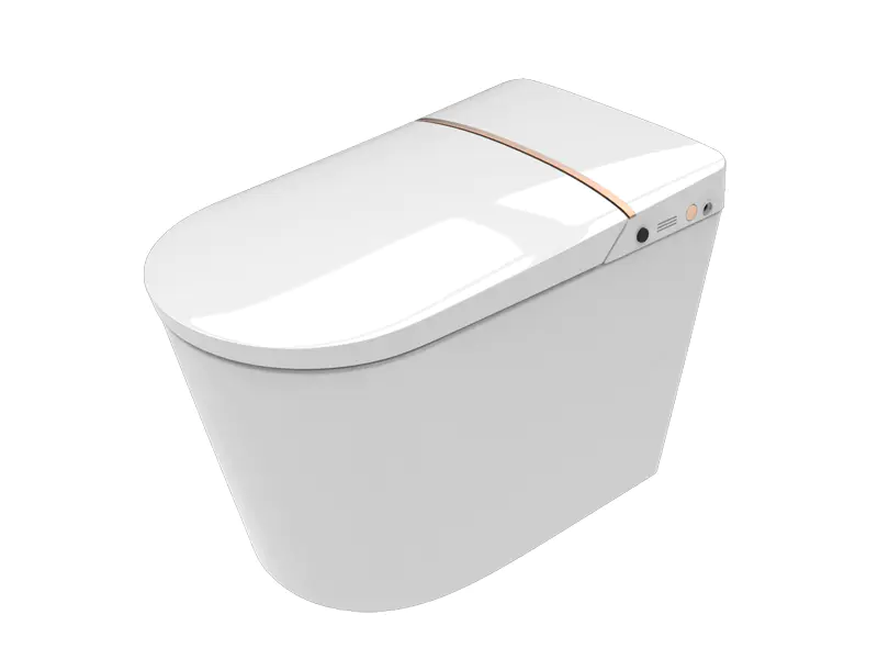 Space And Water Saving Toilet ZN-080