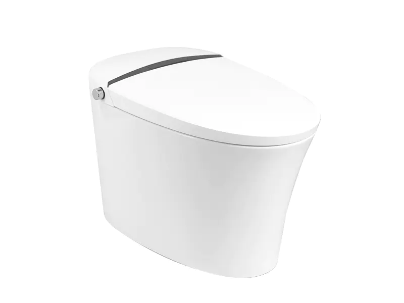 Washroom Commode With Comfort Height ZN-079