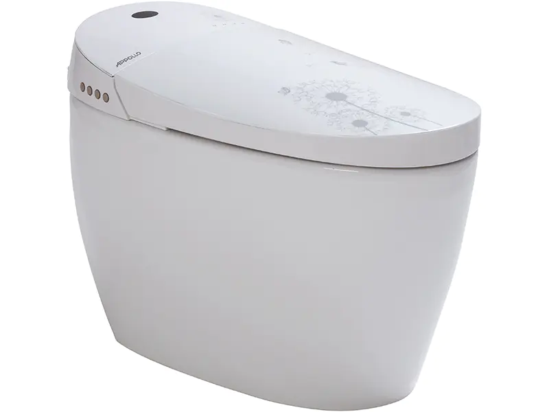 Contemporary elegant smart toilet,toilet suppliers ZN-064
