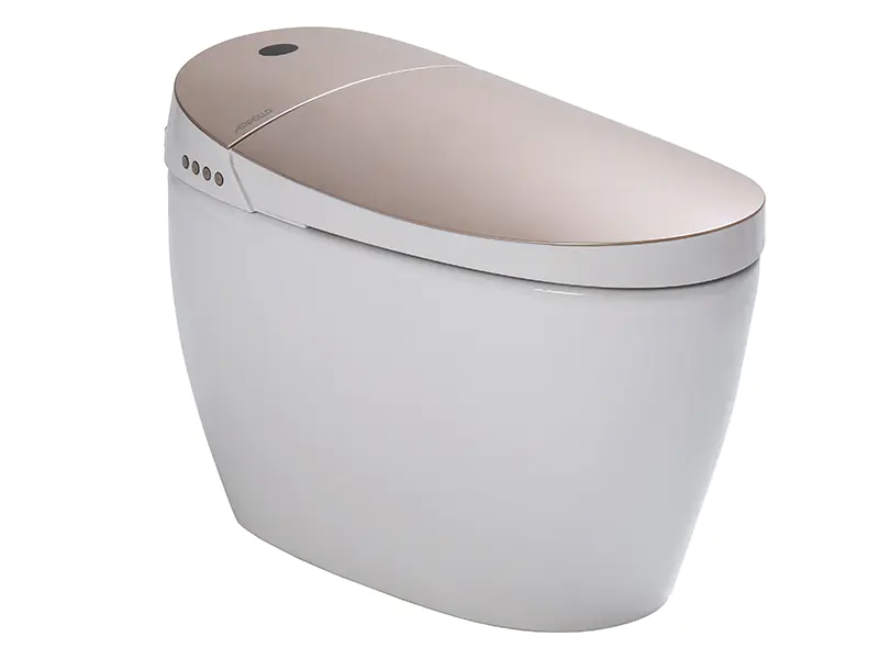 Luxury intelligent toilet,standard comfortable toilet ZN-064MC