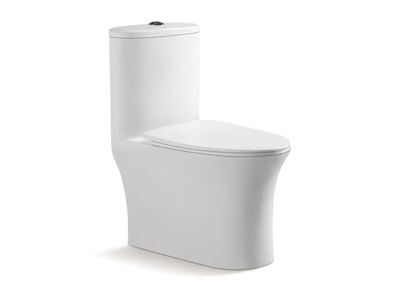 Modern restroom commode,dual flush toilet ZB-3905