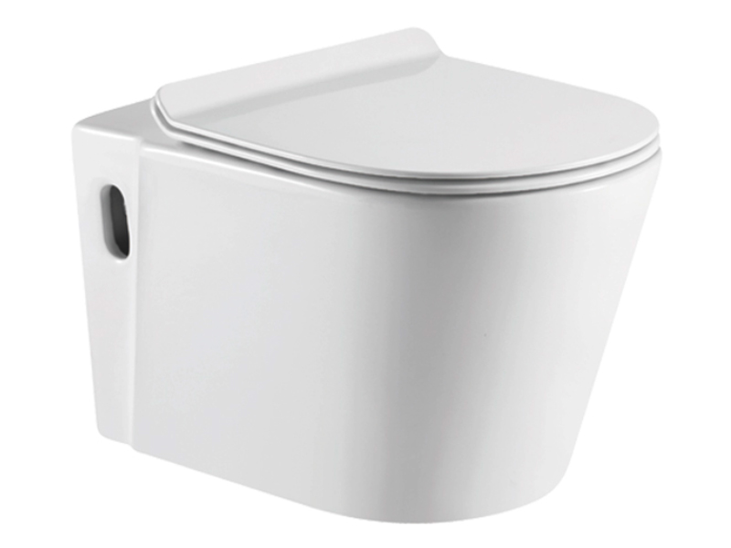 Appollo bath zb3435 dual flush toilet supply for men-1