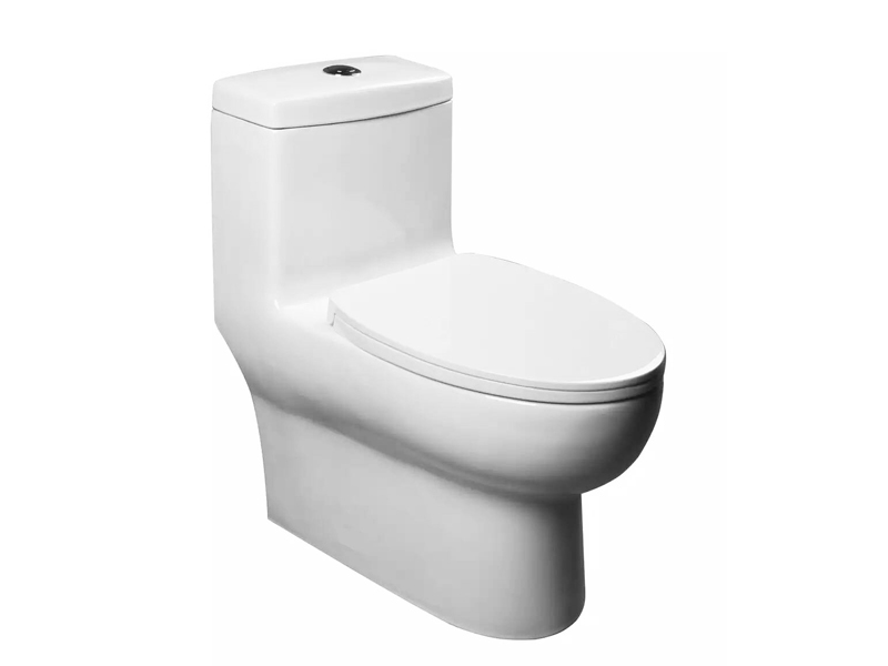 Appollo latest ceramic toilet for men-1